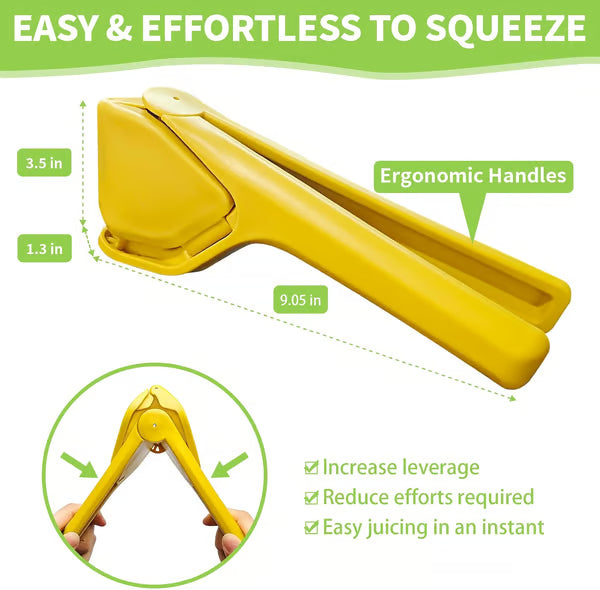 Citrus press product details
